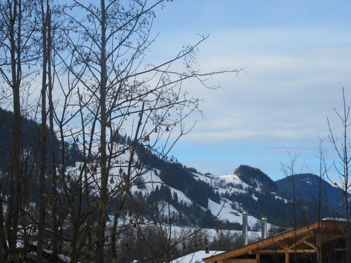 Erharter Apartment Kitzbuhel